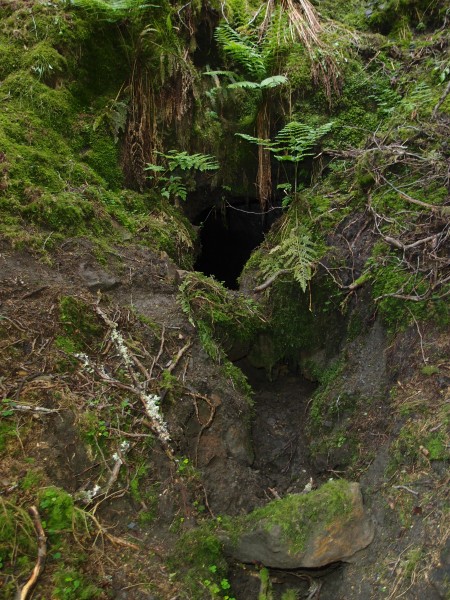 P6165229.JPG - Entrance to the trial level.