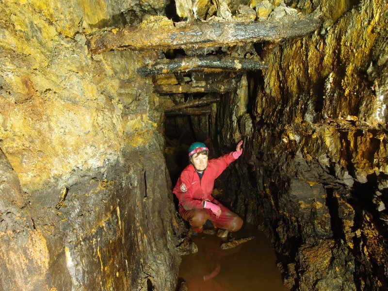 P6165239.JPG - Stemples with thin branches on top.