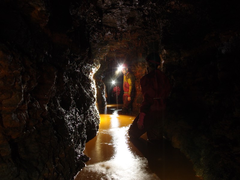 P6165242.JPG - Along the drive in, south of Clargill Vein.