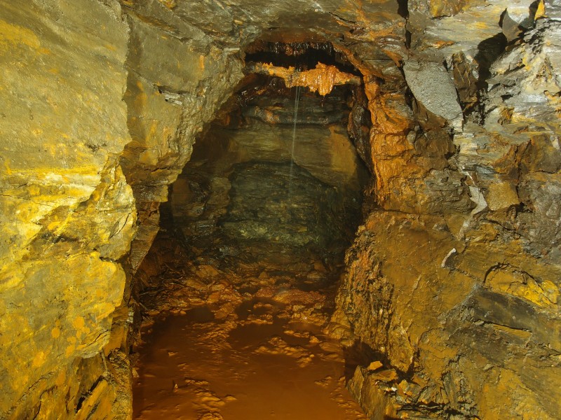 P6165250.JPG - Forehead of the trial level.