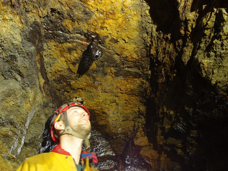 P6165257.JPG - Tullip formation on the roof.