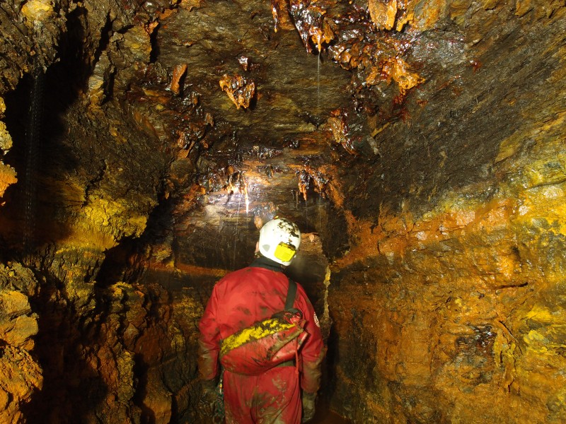 P6165264.JPG - Highly decorated roof.
