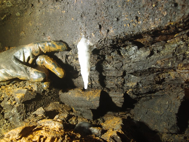 P6165275.JPG - Formations on the drive in.