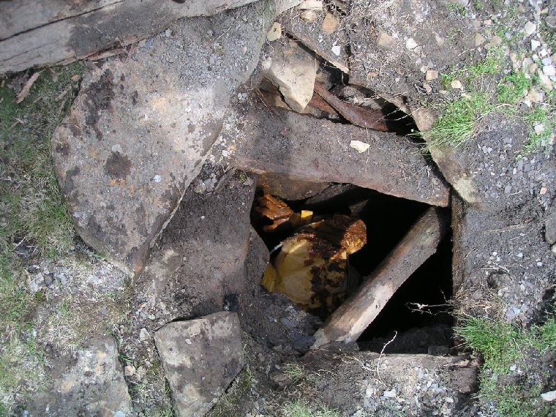 olrb_karli_exit1.jpg - Getting out.