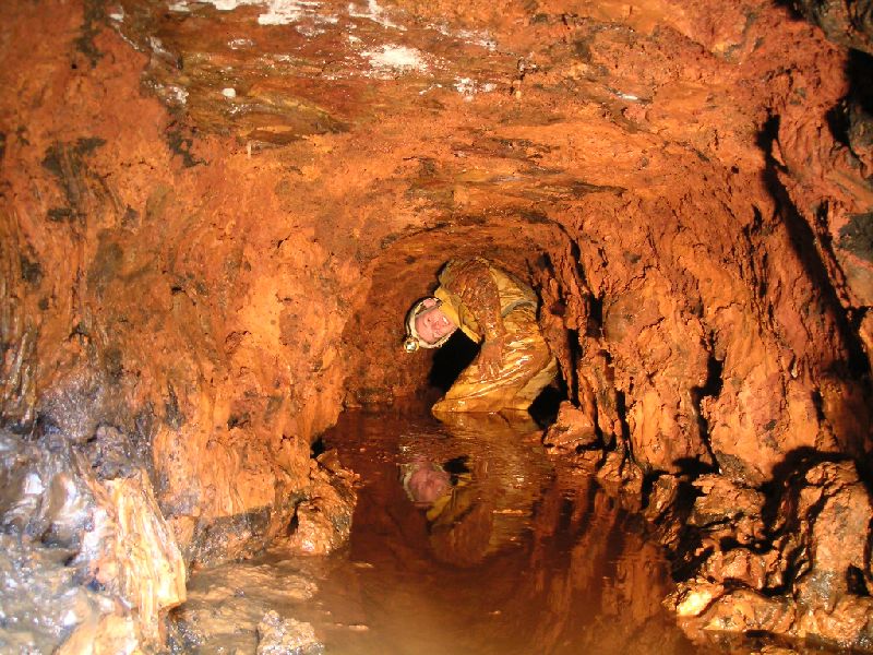 olrb_karli_inside3.jpg - Karli as far as he could go.