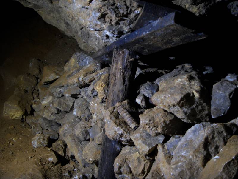 34_wp_pillar_hose2.jpg - Just before entering the stream passage, I found this bit of air hose in the deads.