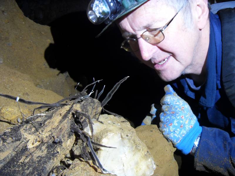 36_wp_don_fungus1.jpg - An amazing fungus growth on some rotting timber. Like spiders legs with white claws on the ends.