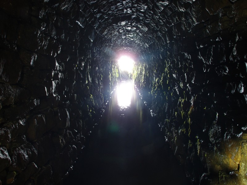 P7259796.JPG - Arching near the entrance, with the gate off its hinges - there was no way to put it back on.