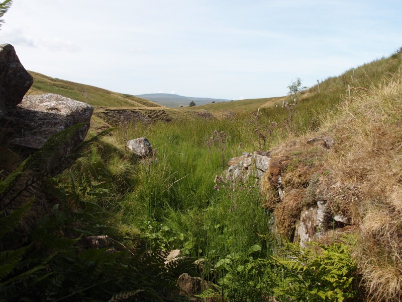 P7259799.JPG - Looking out from the portal.