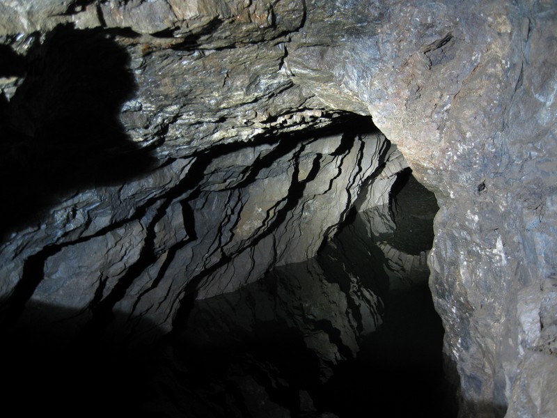 IMG_5529.JPG - Another look into the flooded horse level.