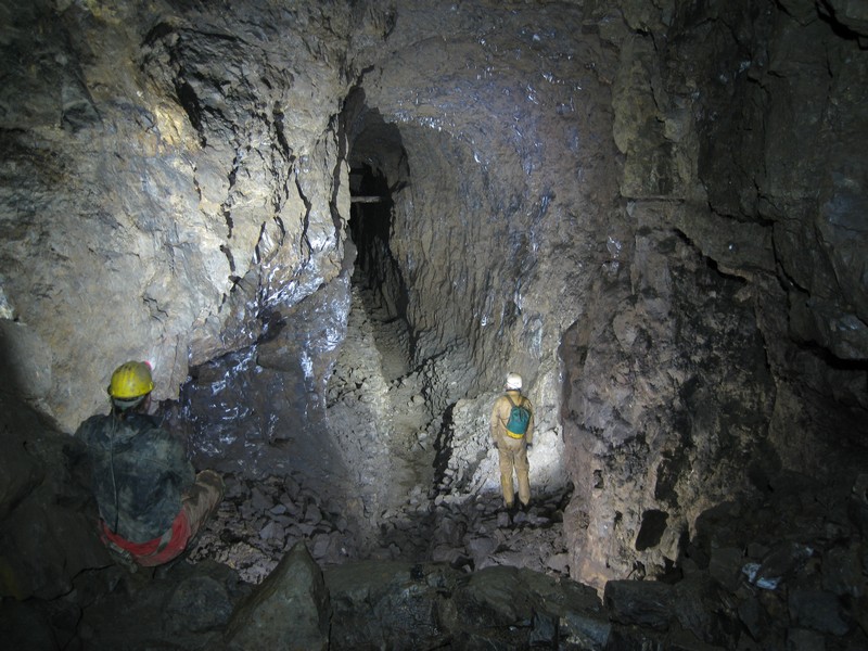 IMG_5556.JPG - Looking down on to the horse level.