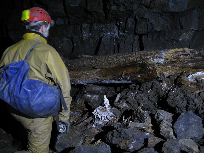 IMG_5569.JPG - Support timber remains.