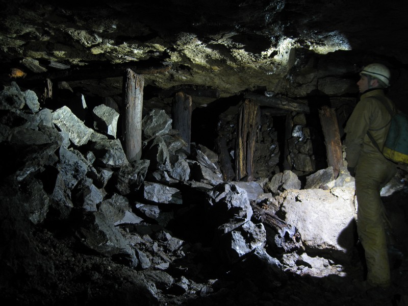 IMG_5578.JPG - Timber pillars in flats above the horse level near the entrance.