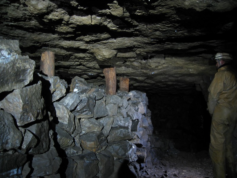 IMG_5579.JPG - Short timber pillars in flats above the horse level near the entrance.