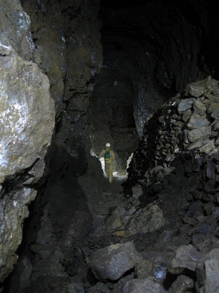 Img_5562.jpg - View along the horse level.