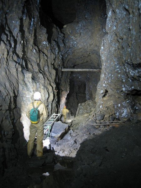 Img_5563.jpg - View along the horse level.