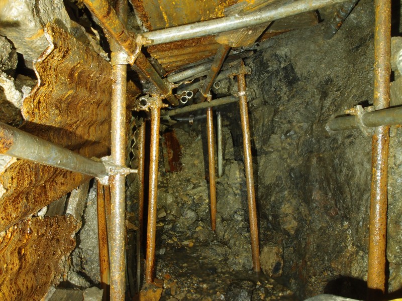 P7260273.JPG - End of the line, fall and dig.