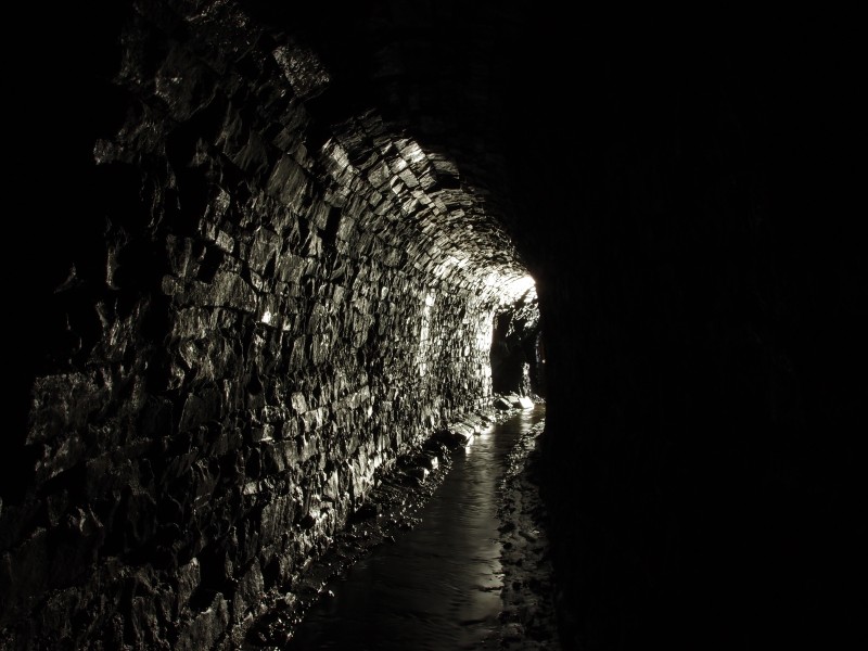 P7260275.JPG - Horse level.