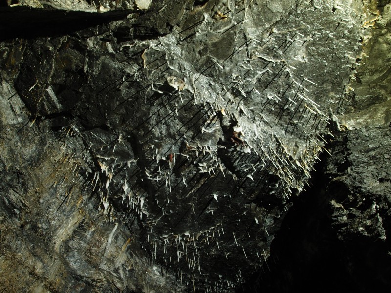 P7260335.JPG - Stalactites on the roof at the crosscut to Spark's Sump.