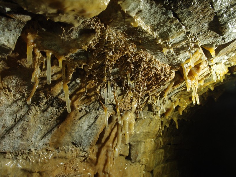 P7260350.JPG - Formations on the roof near the adit.