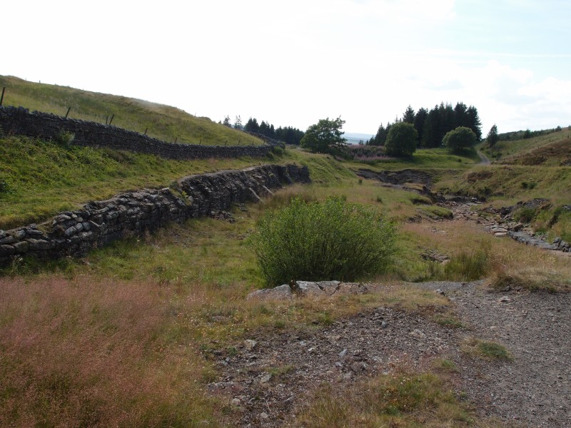 P7260353.JPG - Ore bings to the left and the remains of the dressing floor on the right.