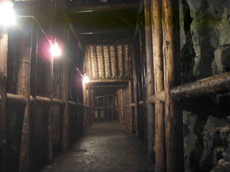 zs_tourist14.jpg - Some major woodwork.