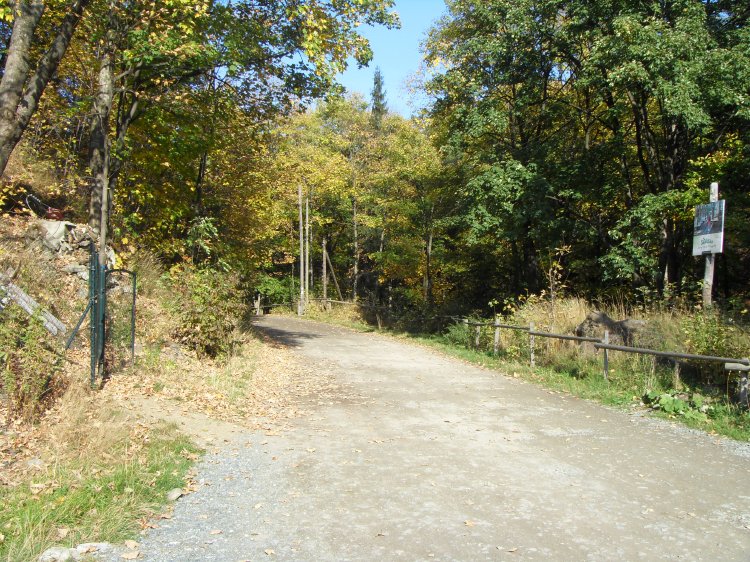 zs_surface13.jpg - The site is located in very nice wood lands.